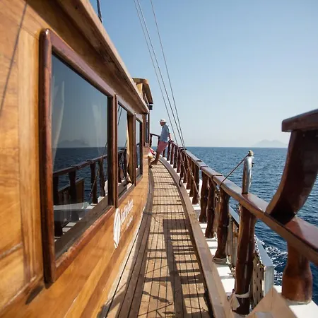 M/s Harmonia Nea Artaki